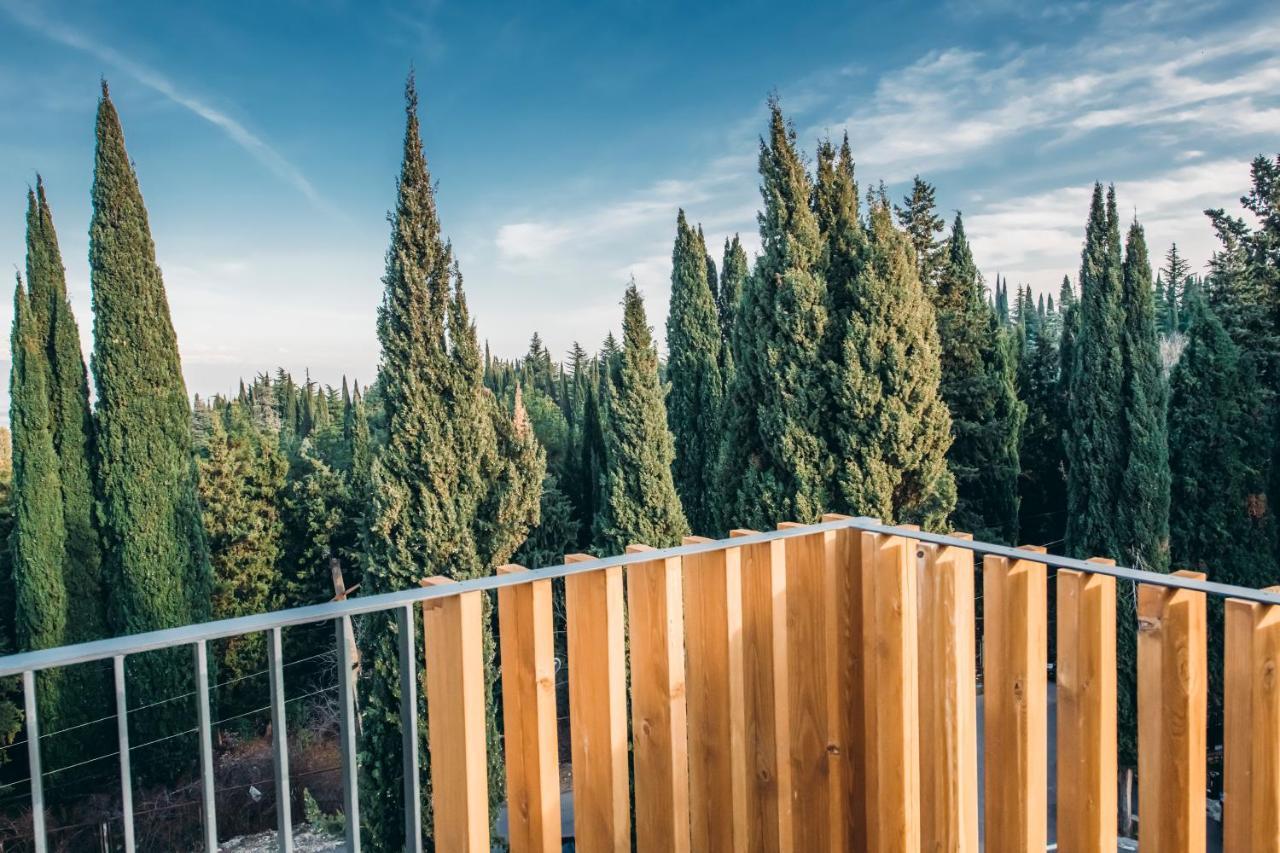 Park Hotel Tsinandali Estate Εξωτερικό φωτογραφία