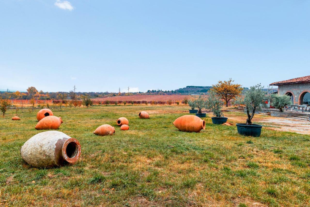 Park Hotel Tsinandali Estate Εξωτερικό φωτογραφία